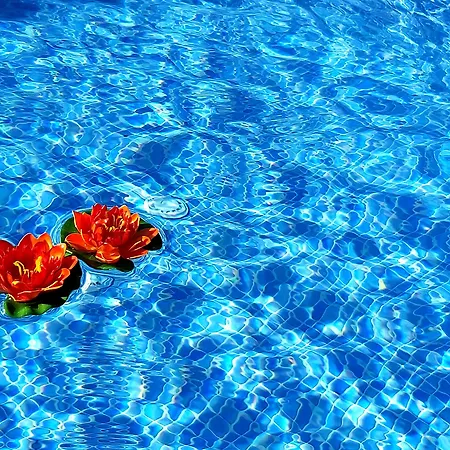 メソトポス アパートホテル サントリーニ